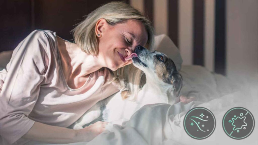 LG Subscribe 15/8kg Front Load Washer Dryer batu caves